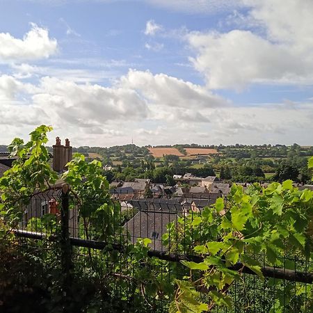 Charming Detached 2 Bedroom Ancient House In Medieval Quarter Of A Small Town In The Pays De La Loire, France Sille-le-Guillaume Экстерьер фото