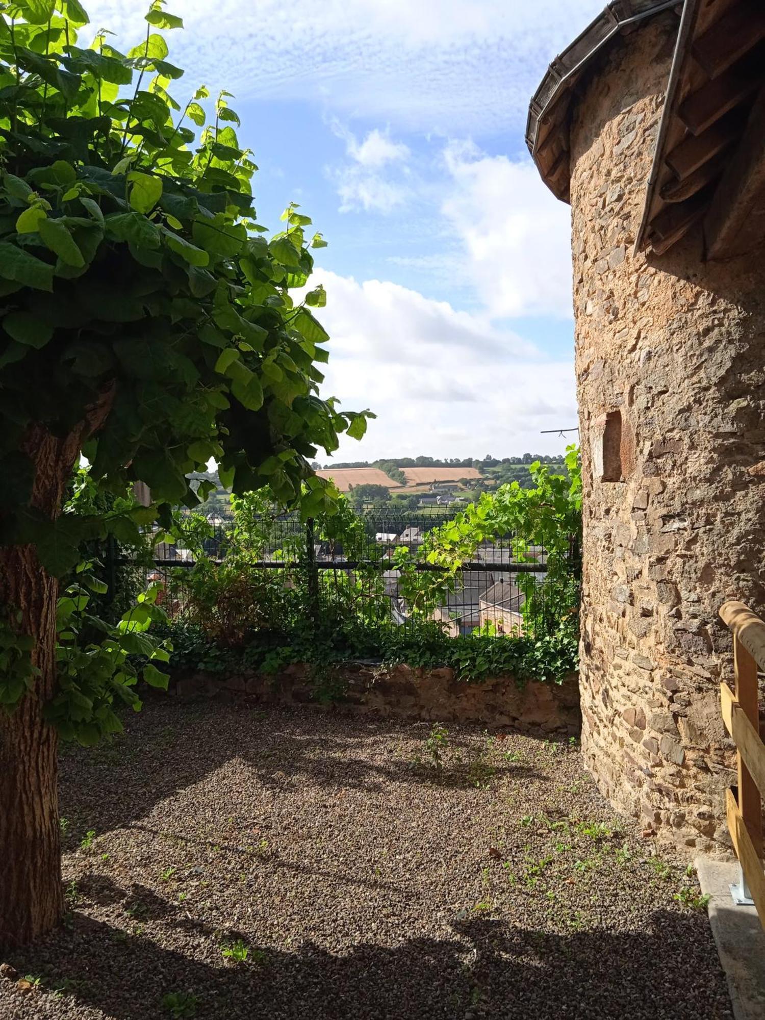 Charming Detached 2 Bedroom Ancient House In Medieval Quarter Of A Small Town In The Pays De La Loire, France Sille-le-Guillaume Экстерьер фото