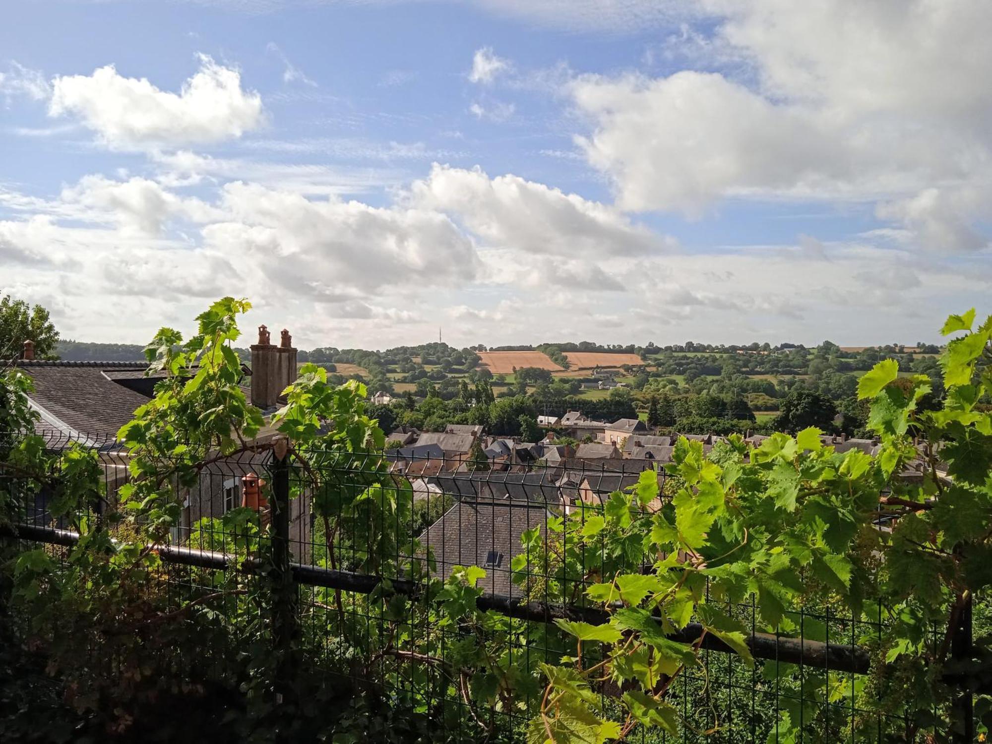 Charming Detached 2 Bedroom Ancient House In Medieval Quarter Of A Small Town In The Pays De La Loire, France Sille-le-Guillaume Экстерьер фото